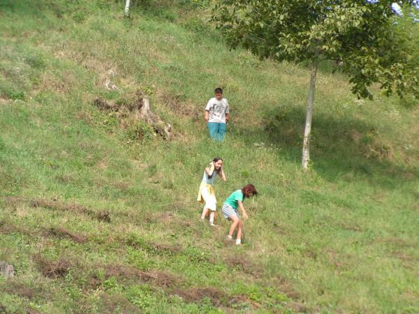 pict3531 (web)